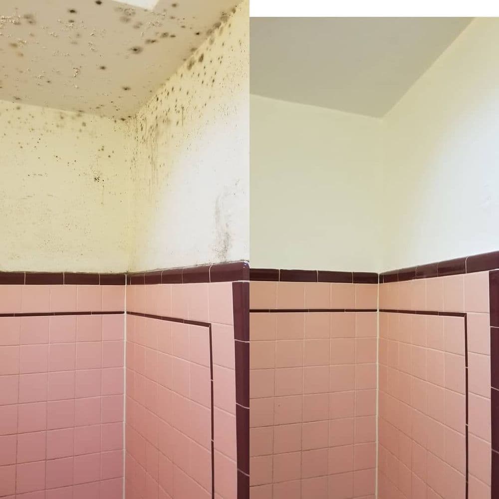 Before and after mold removal in a pink-tiled bathroom shower area.